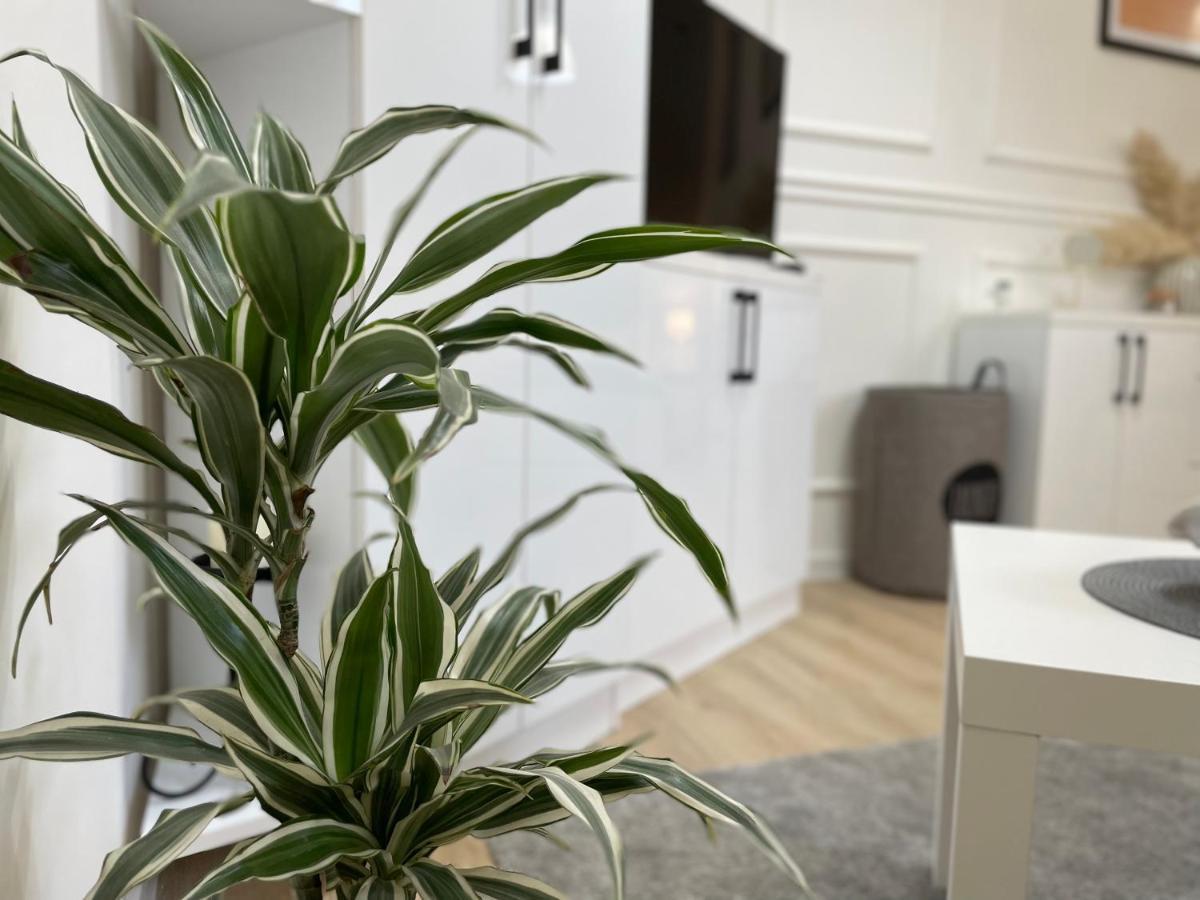 Apartments Tema Sombor Dış mekan fotoğraf